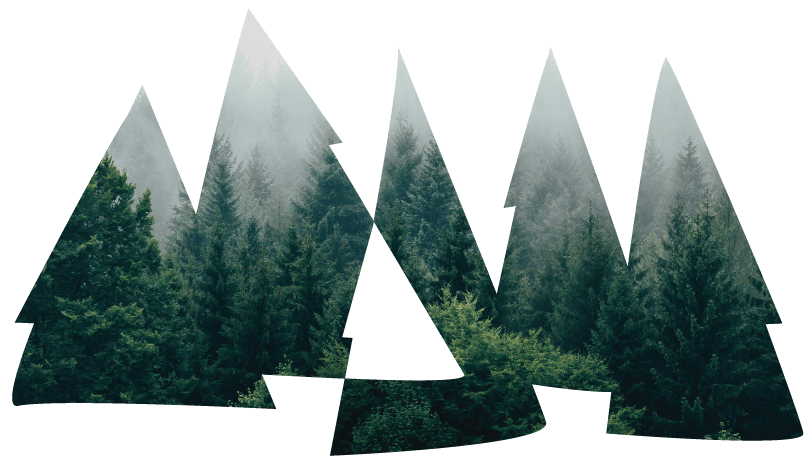 A dark forest scene with misty evergreen trees, arranged in a geometric pattern of overlapping triangles against a black background.